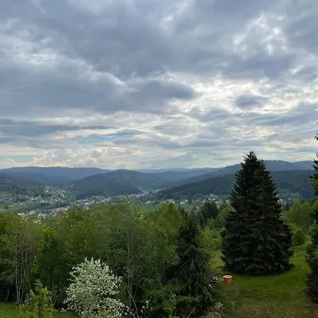 Le Du Domaine Des Lupins * Xonrupt-Longemer